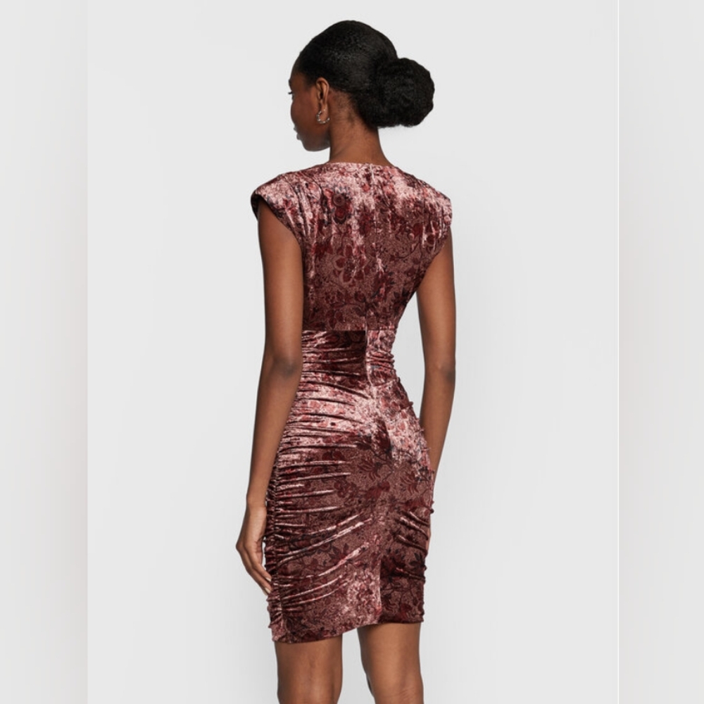 NWT Velvet Rushed Mini Dress - Picture 4 of 9